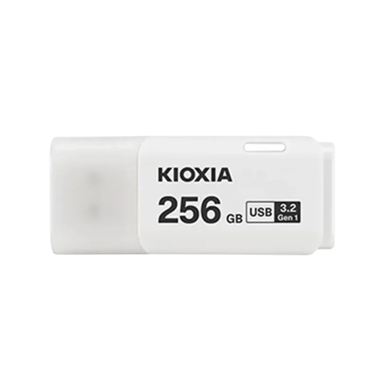 خرید Kioxia USB FLASH DRIVES U301 256GB